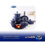 سرویس قابلمه 17 پارچه دورو گرانیت Gold کاربنی دات سفید ریور مدل 4104