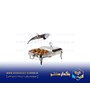 سوفله 2 تکه مستطیل روما نقره ای ریور مدل RM500