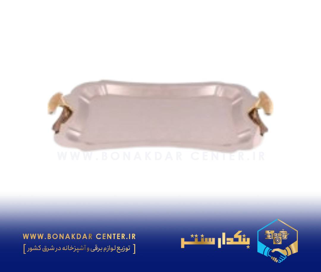 سینی مستطیل متوسط دالبر دسته طلایی نگینی ریور مدل G7226
