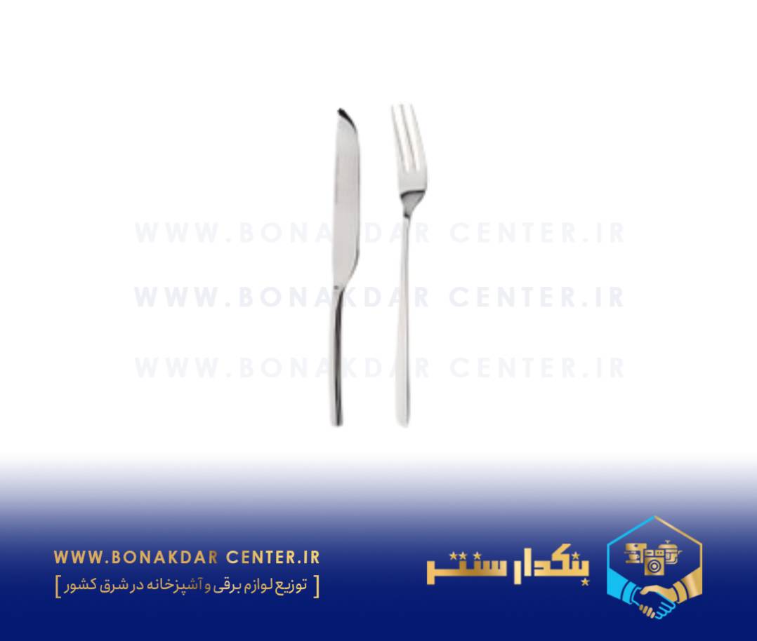 کارد و چنگال استیل نگیر
